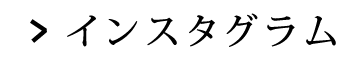 インスタグラム